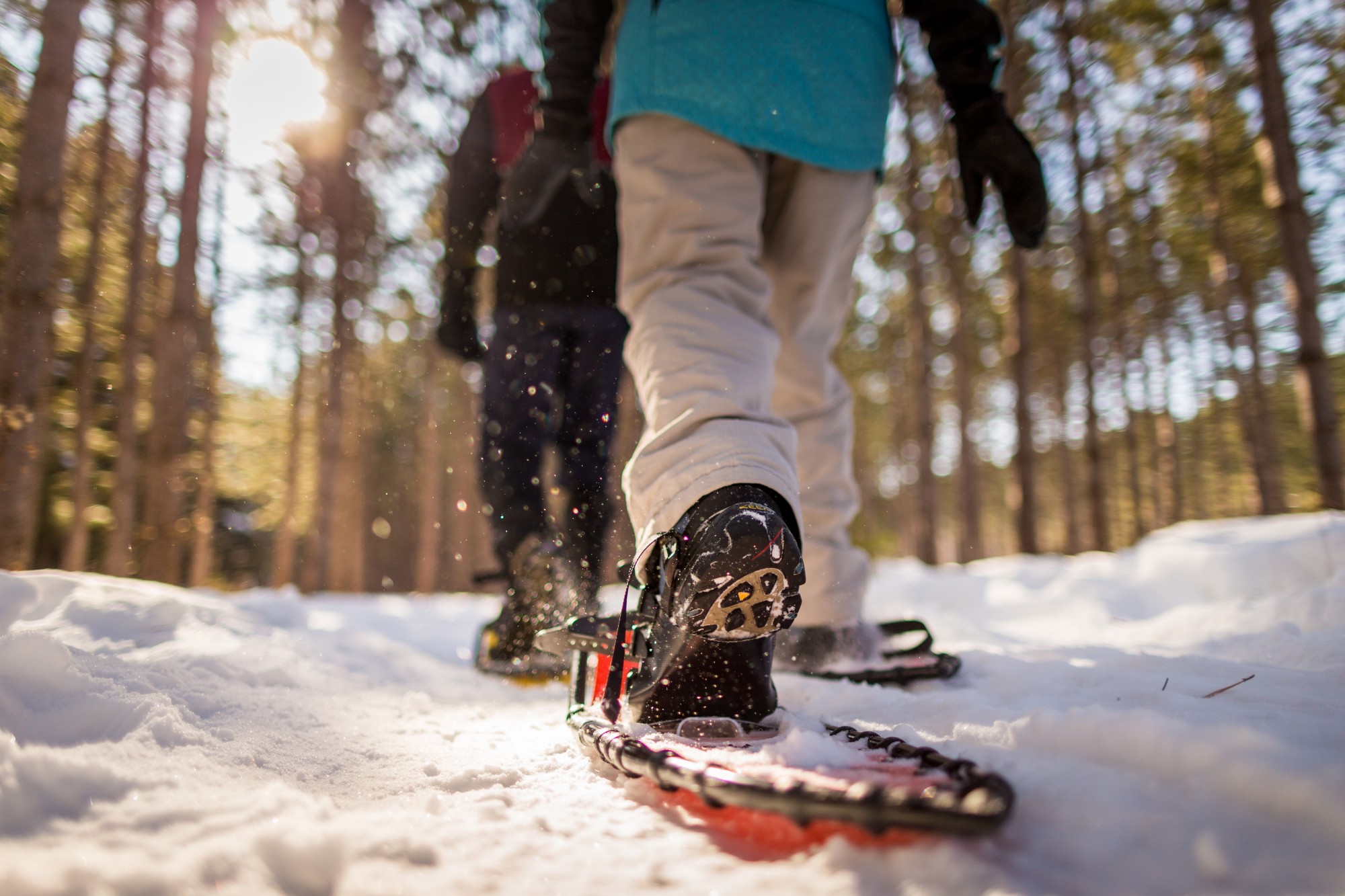 Snowshoeing in Bracebridge